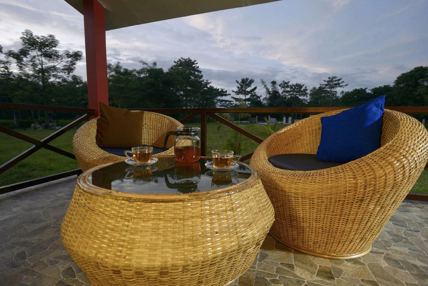 Top Places to Stay Near Gorumara National Park